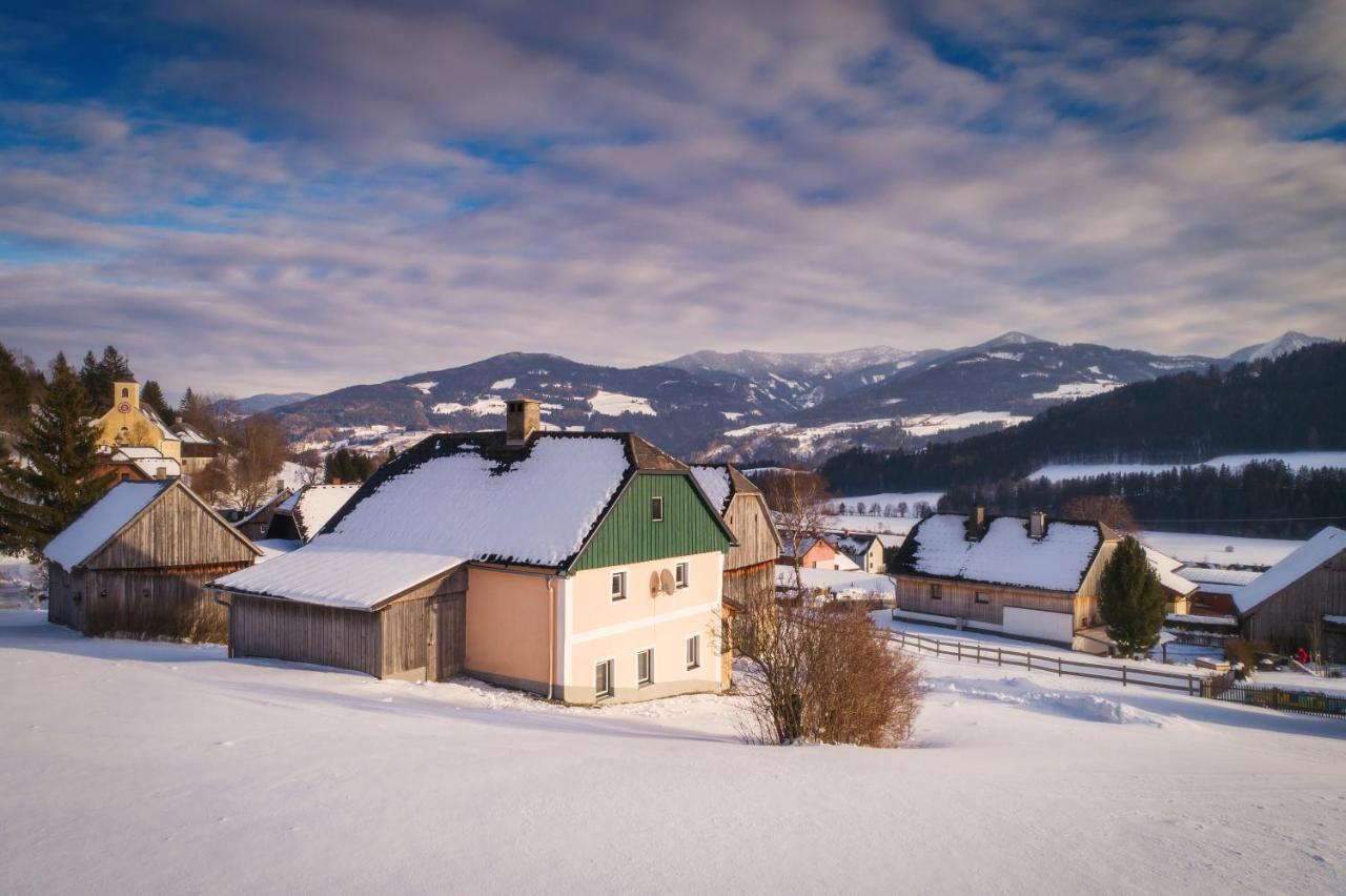 Ferienhaus Schwöllerbauer Sankt Martin am Grimming Exterior foto